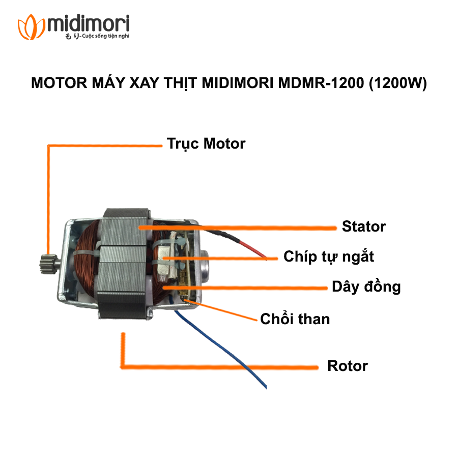Đặc điểm cấu tạo của Motor máy xay thịt inox Midimori