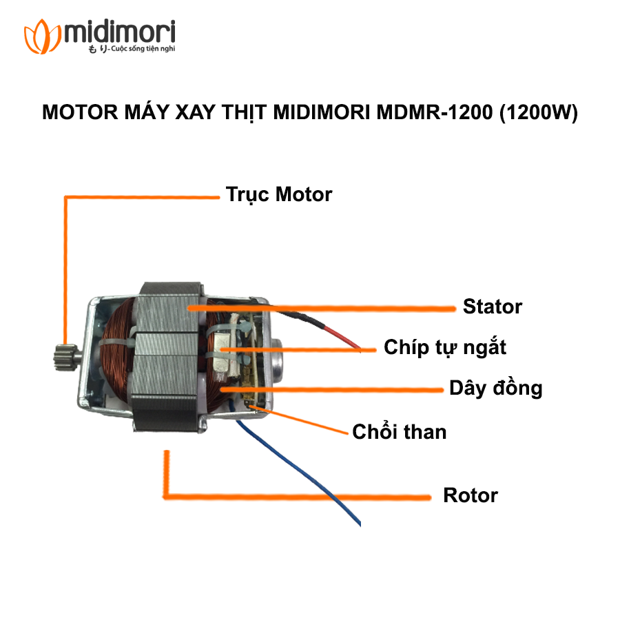 Giảm giá Xe mini moto cào cào 50cc - Mua Thông Minh